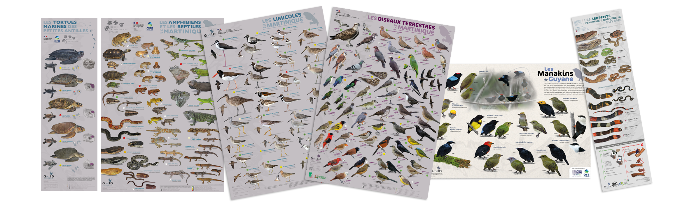 Collection de posters GoodID