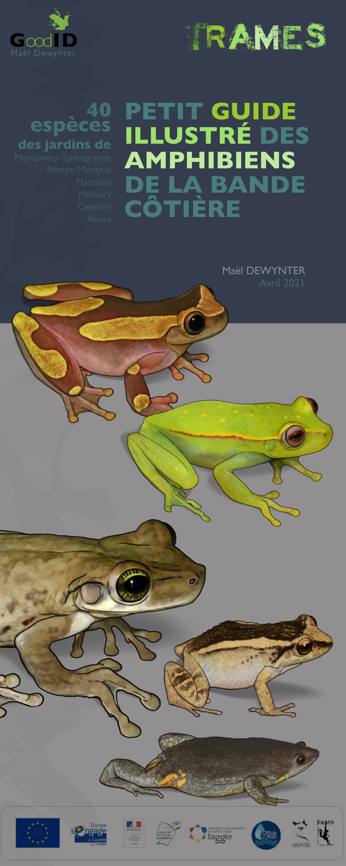 Petit guide illustré des Amphibiens de la bande côtière de Guyane