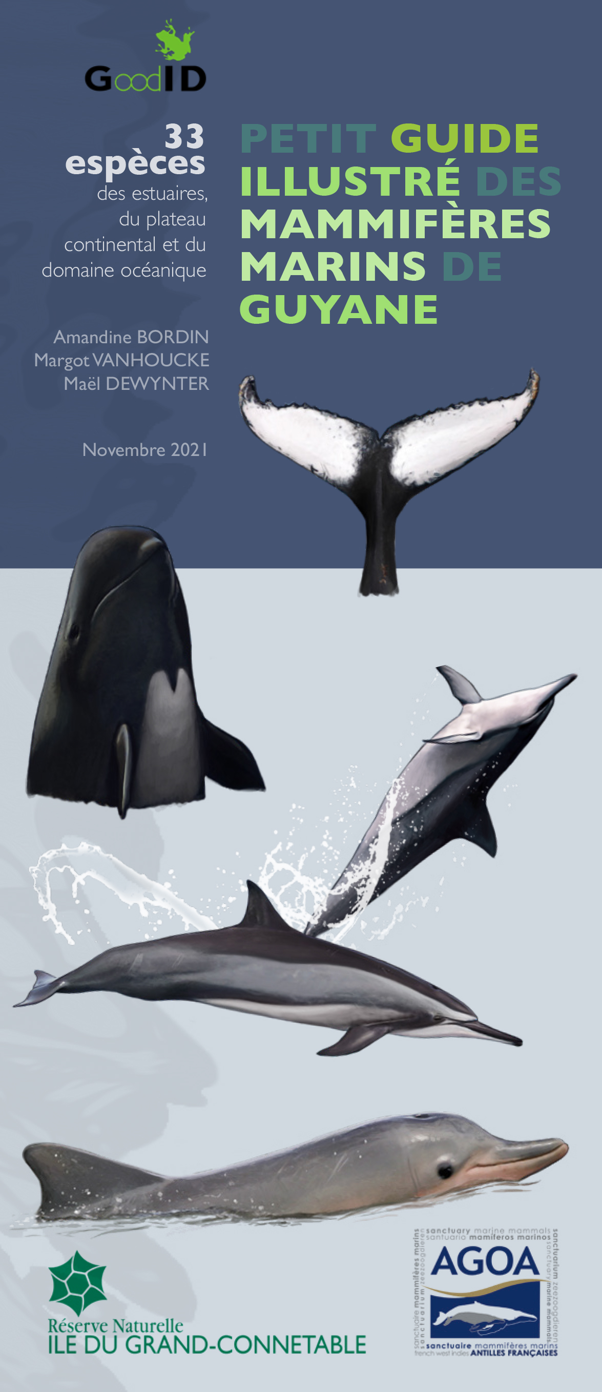 Petit guide illustré des mammifères marins de Guyane