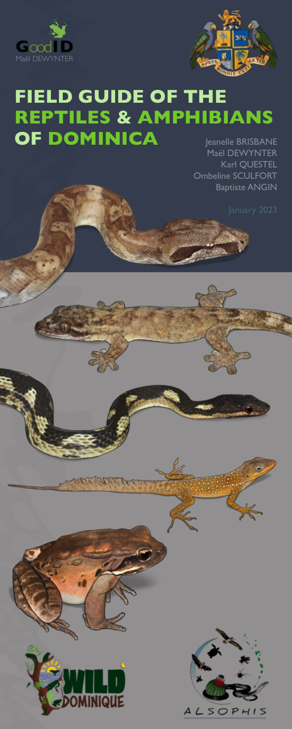 Field guide of the reptiles & amphibians of Dominica