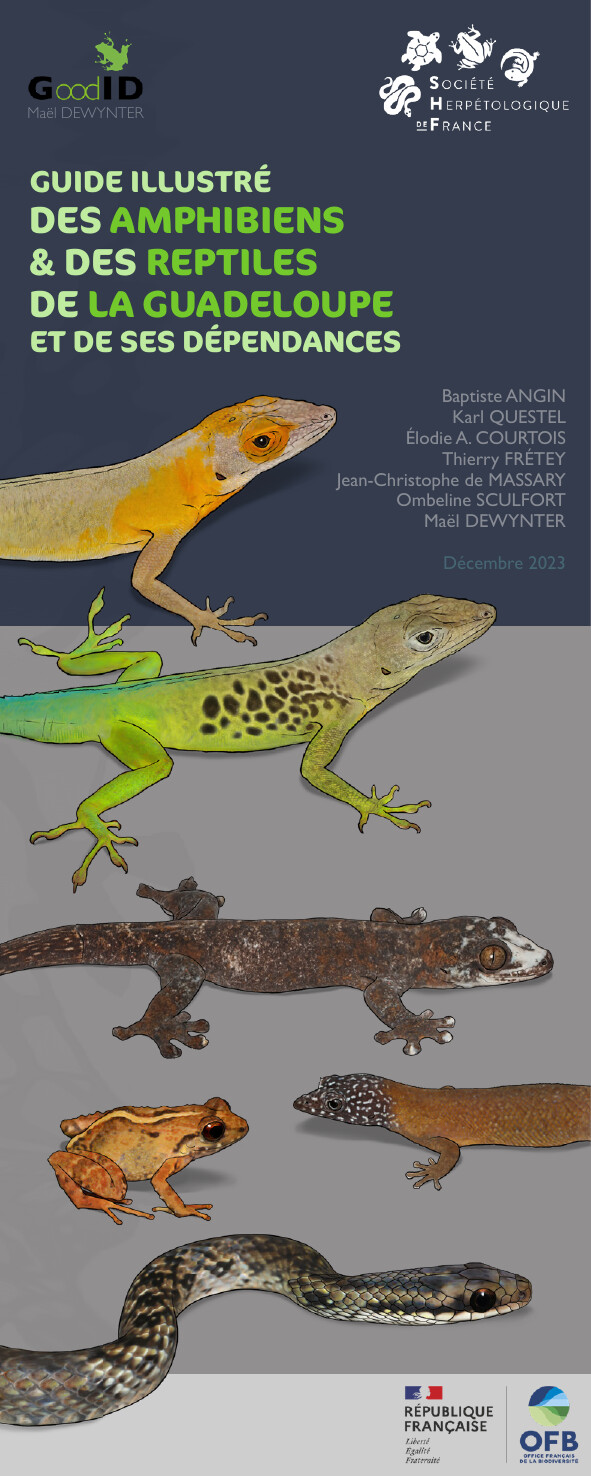 Guide illustré des Amphibiens & Reptiles de la Guadeloupe