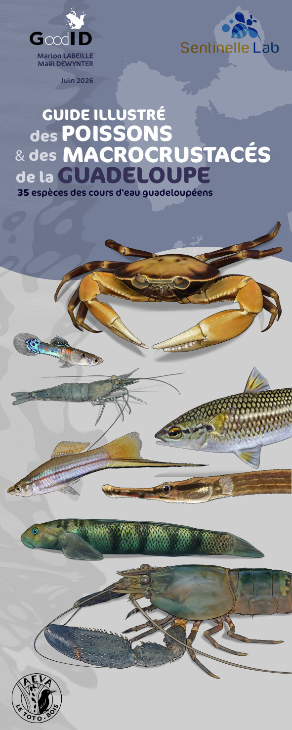 Guide illustré des poissons & macrocrustacés de la Guadeloupe