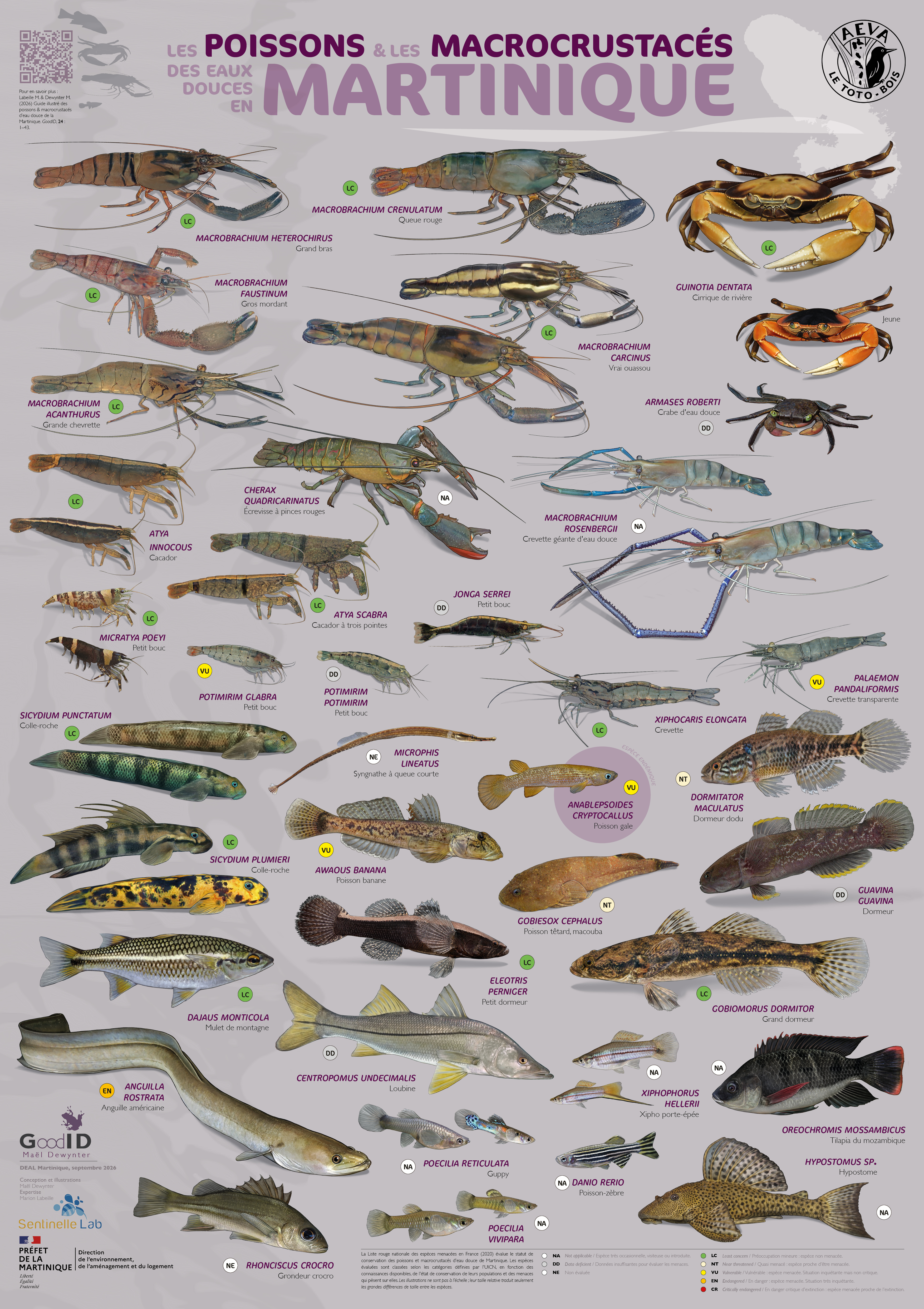 Les Poissons & les Macrocrustacés des eaux douces en Martinique