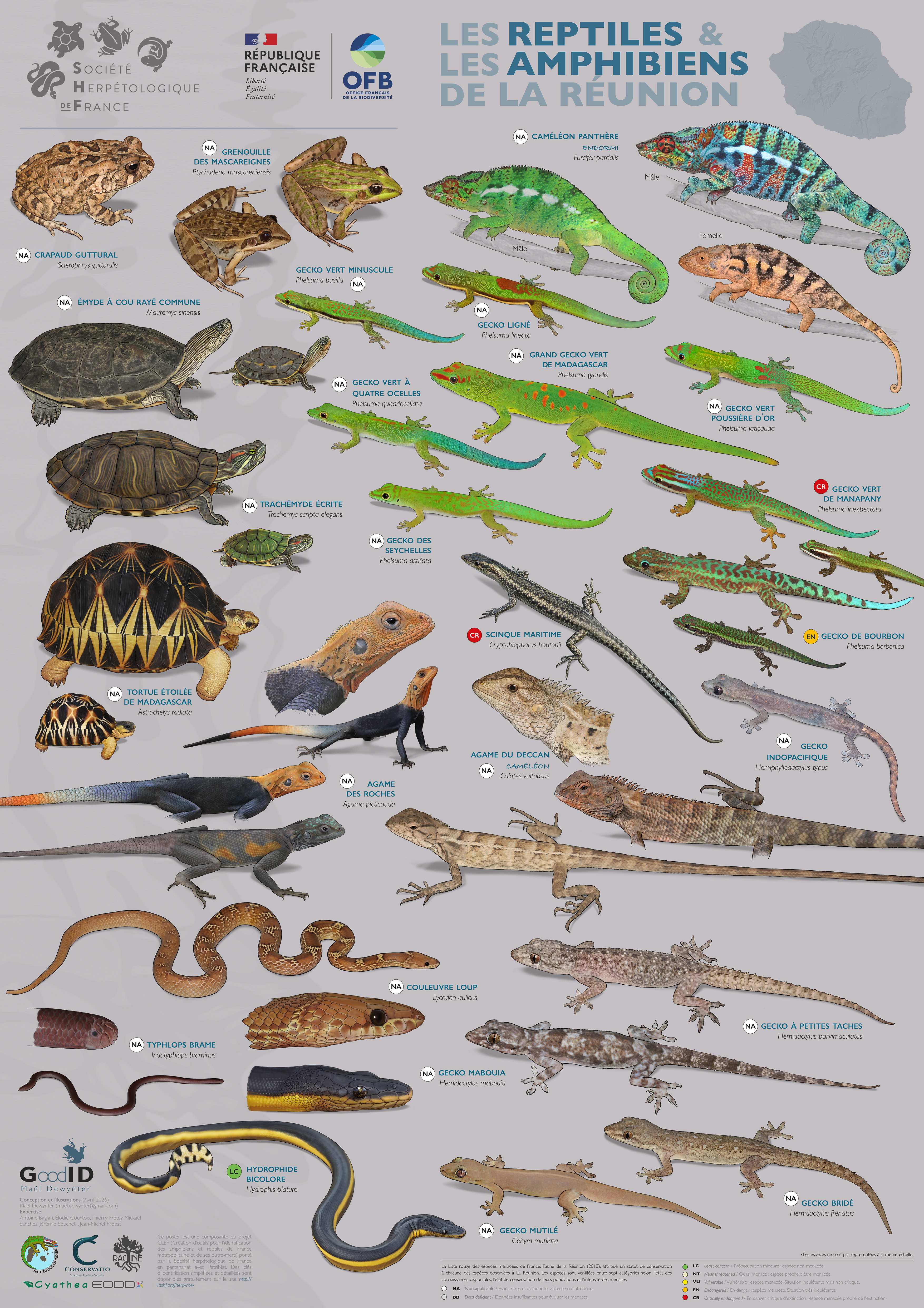 Les Reptiles & les Amphibiens de La Réunion